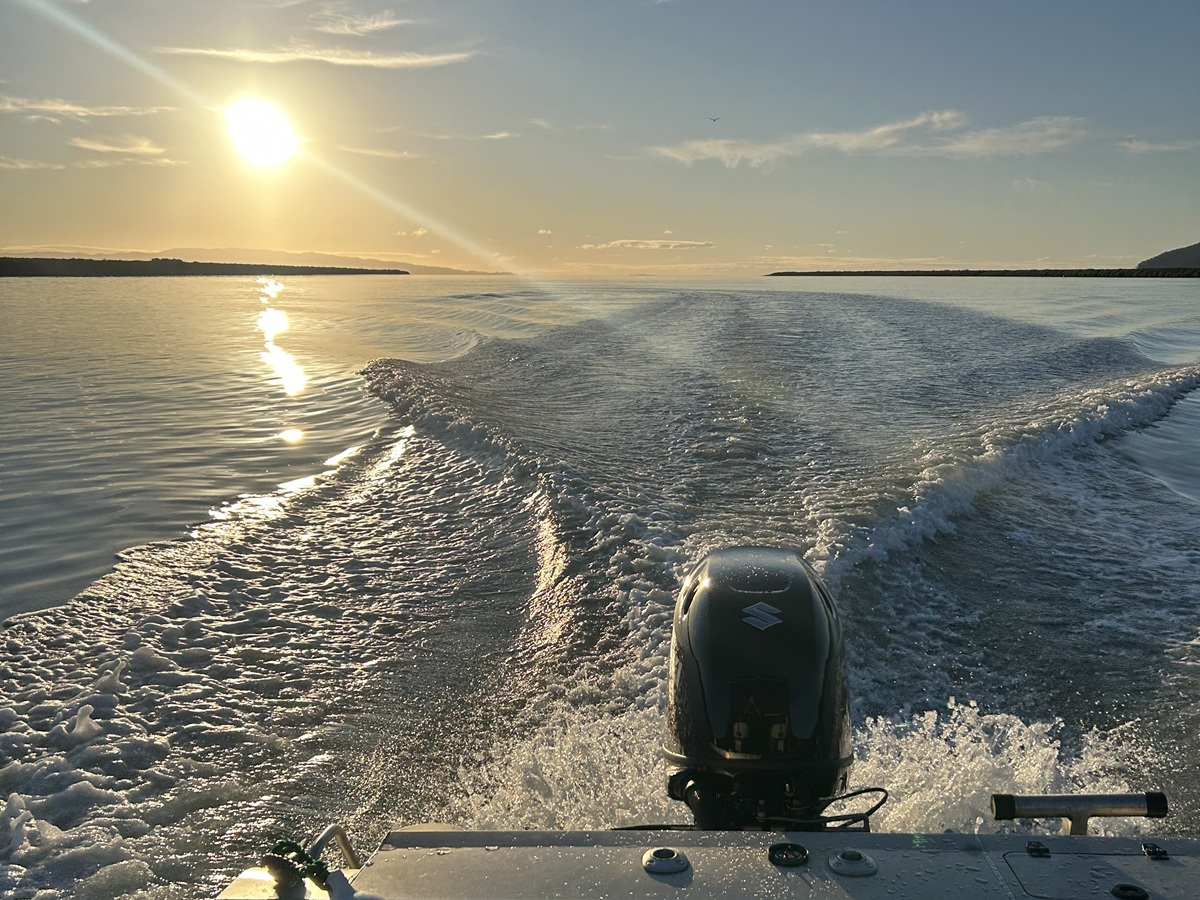 Profile 600H sea trial with new Suzuki DF140BTX