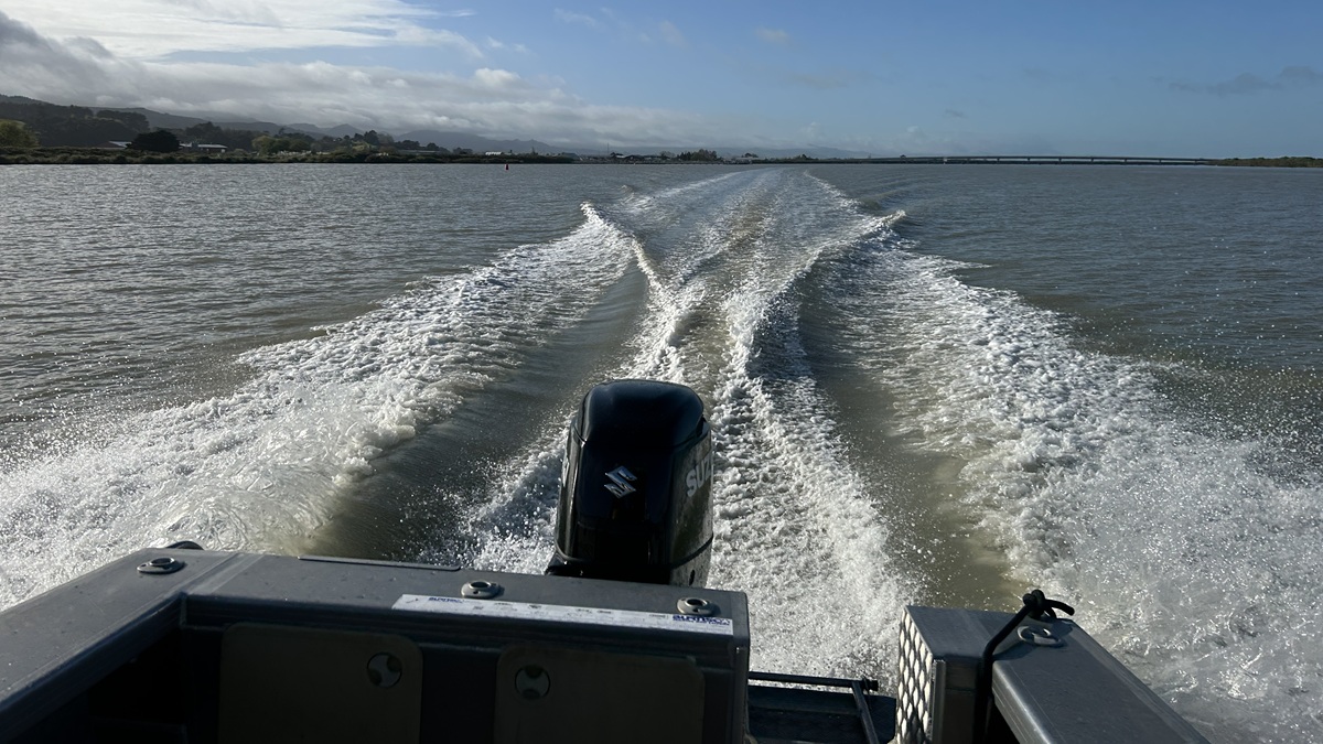 Bluefin HT700 repower with Suzuki on sea trials Bluefin HT700 repower with Suzuki on sea trials